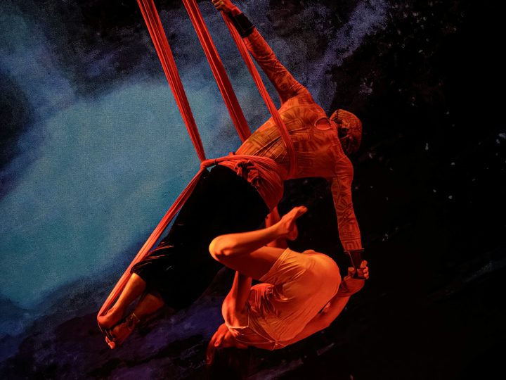 Roaming Circus Acts